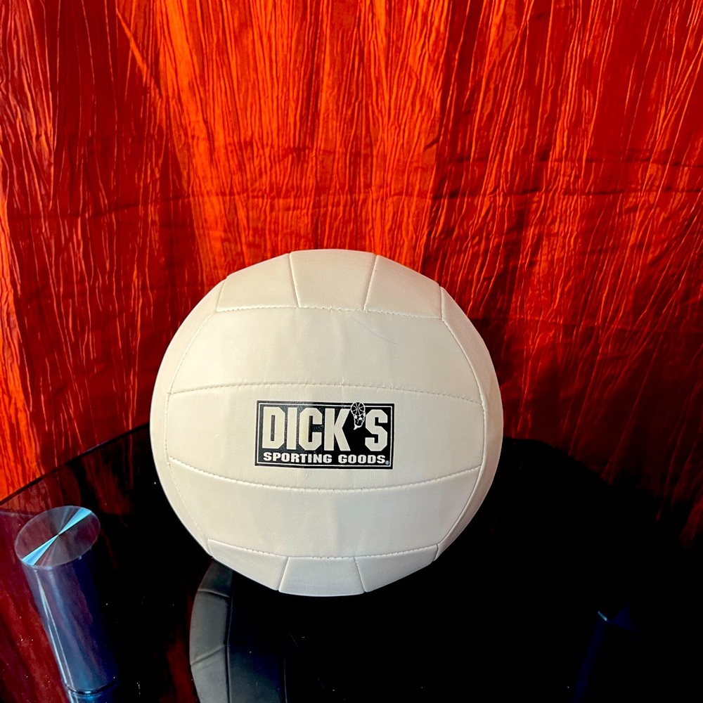 Dicks Sporting Goods White Volleyball